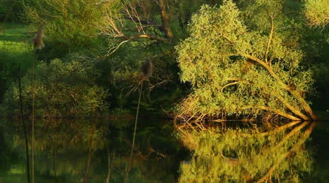 Lake Landscape Video stock 23235325