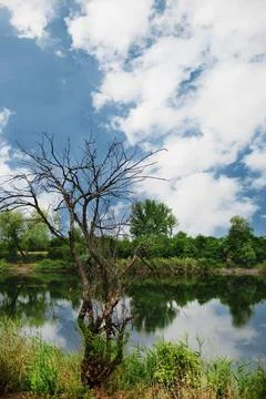 Lake landscape Fotos Stock