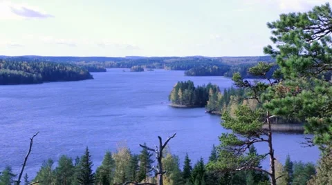 Lake landscape with pine trees Stock Footage 56605891