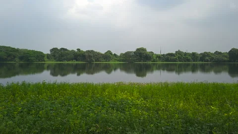 Lake Landscape Static Shot Stock Footage 300780493