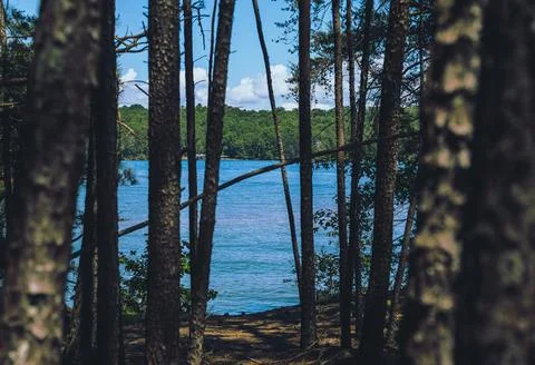 Lake Lanier Stock Photos