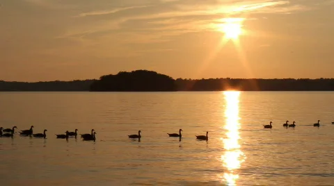 Lake Lanier Sunset in Atlanta Georgia Stock Footage