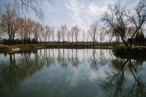 Lake lanscape with trees Stock Photos