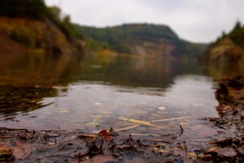 Lake with leaf Stock Photos