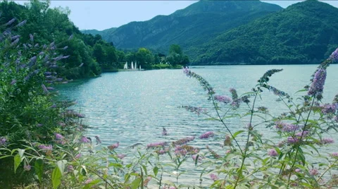 Lake Ledro. Stock Footage 41544052