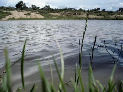 Lake level view Stock Photos