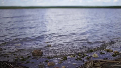 Lake Life Stock Footage 165711979