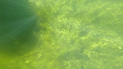 Lake Light Stock Footage 150282862