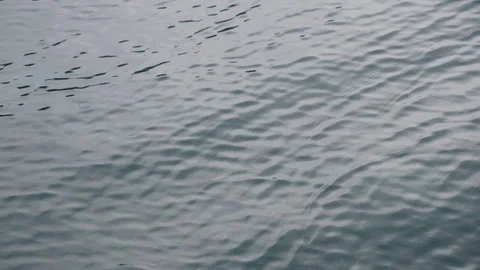 Lake with Light Rain Stock-Footage 300380737
