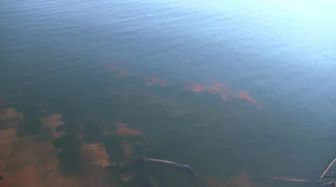 Lake with light Ripples - Red Cloud Reflection 1080/24p HD Stock Footage 25964130