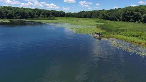 Lake with Lily Pads Video stock 278420593