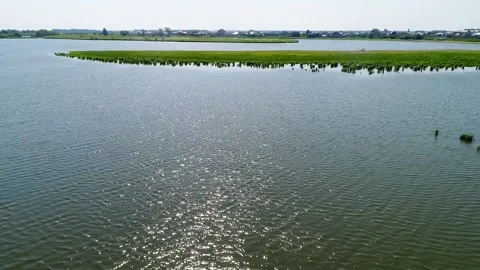 Lake locality river Stock Footage 139935661