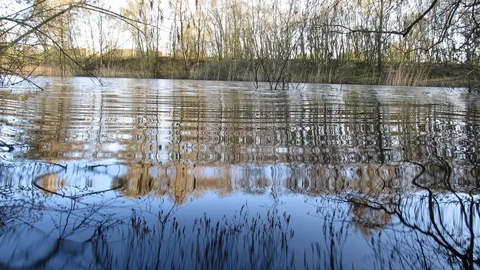 Lake Loop Stock Footage 106666415