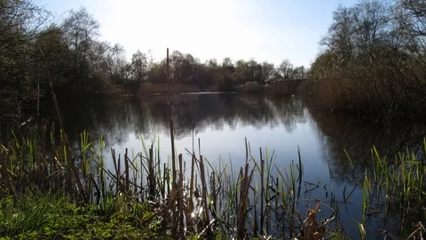 Lake Loop Stock Footage 106666416