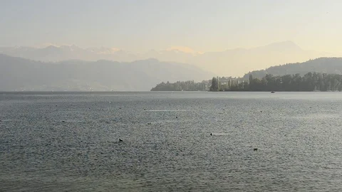 Lake Lucerne. Video stock 79005254