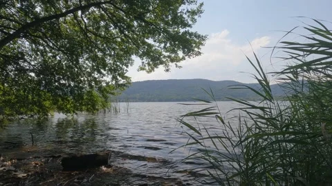 Lake Maggiore in the forest Stock Footage 261433816