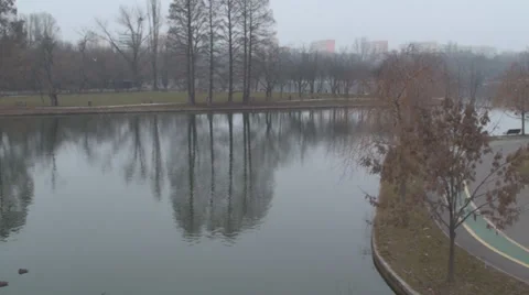 Lake With Mallard Ducks On A Cold Day Pan-Shot Stock-Footage 34295609