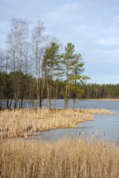 Lake in March Stock Photos