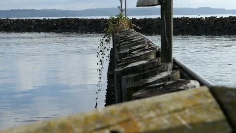 Lake marina Stock Footage 142773965