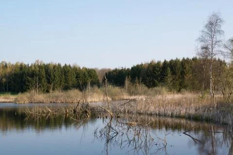 Lake on meadow Stock Photos