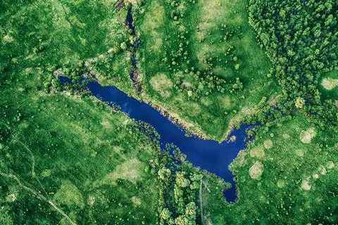 Lake in the meadows Stock-Fotos