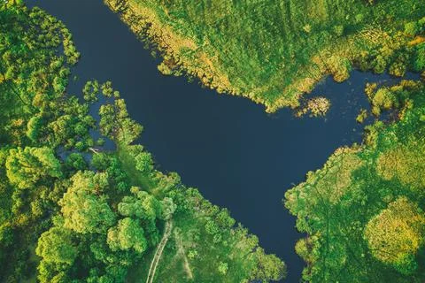 Lake in the meadows Photos
