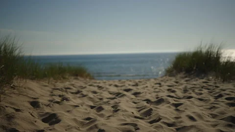 Lake Michigan Sandy Pathway Stock Footage 168655972