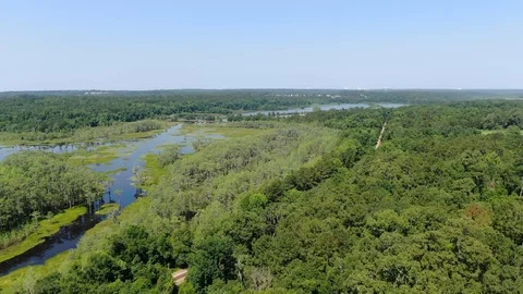 Lake Micosukee - Tallahassee, FL Stock Footage 116894154