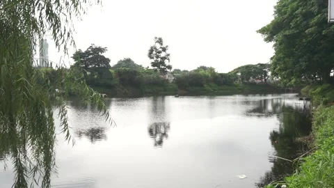Lake in the middle of the city Stock Footage 271146189