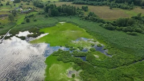 Lake in the middle of fields and forest. Aerial sunrise shot. Stockbeeldmateriaal 169870429