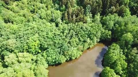 Lake In Middle Of A Forest 2 Stock Footage 142242871