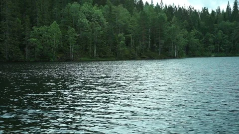 A lake in middle of the forest. Video stock 122349459