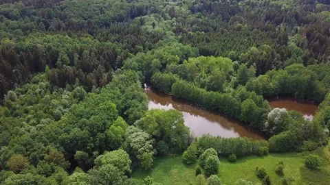 Lake In Middle Of A Forest Stock Footage