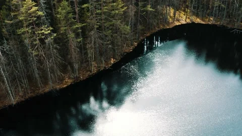 Lake in the middle of the forest. Stock Footage 234110958