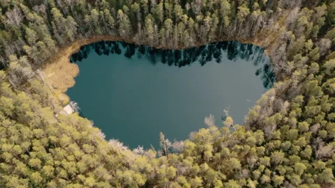 Lake in the middle of the forest. Stock Footage 234111064