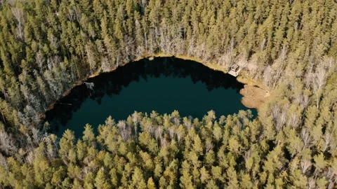 Lake in the middle of the forest. Stock Footage 234111269