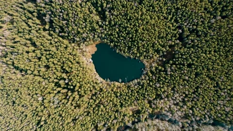 Lake in the middle of the forest. Stock Footage 234115063