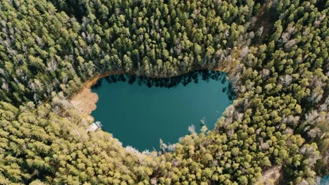 Lake in the middle of the forest. Stock Footage 234115370