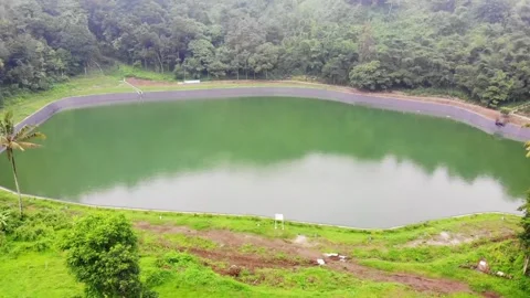 Lake in the middle of the forest Stock Footage 330149643