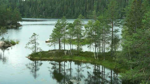 A lake in middle of the forest with many small rocks and islands. Video stock 122349423