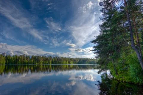 Lake in the middle of a forest Stock Photos