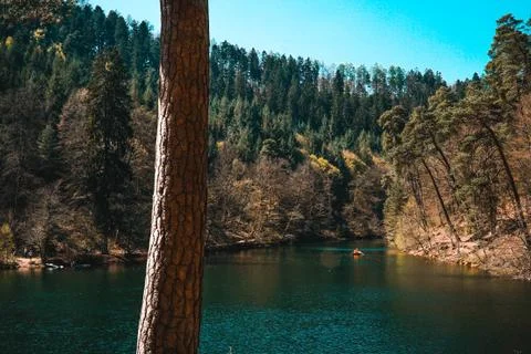 Lake in the middle of a forest Stock Photos