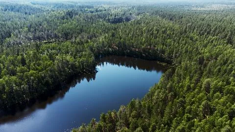 A lake in the middle of a forest Stock Photos