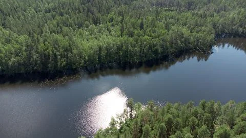 A lake in the middle of a forest Stock Photos