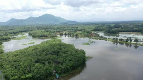 Lake In The Middle Of The Forest Video Stock Footage 269744139