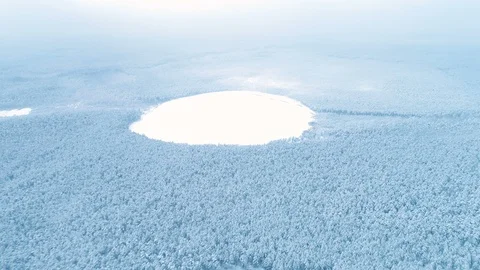 Lake in the Middle of Forest, Winter Time, Aerial Panoramic View Video stock 86323570