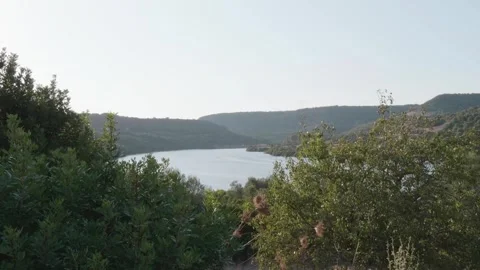Lake in the middle of nature Stock Footage 256285652