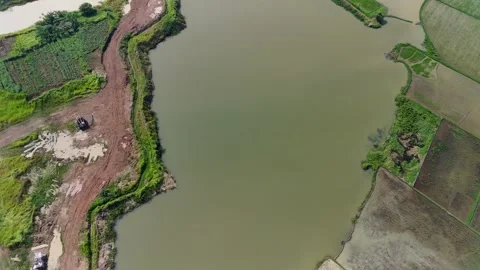 A lake in the middle of rice fields, a former lake for the red earth excavation  Stock Footage 210200006