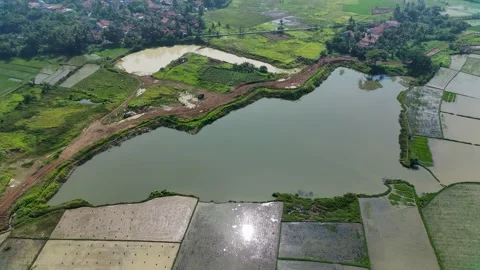 A lake in the middle of rice fields, a former lake for the red earth excavation  Stock Footage 210204428