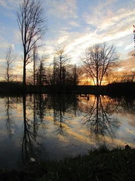 Lake with mirror reflection on the water surface of the surrounding bare trees Stockfoto's